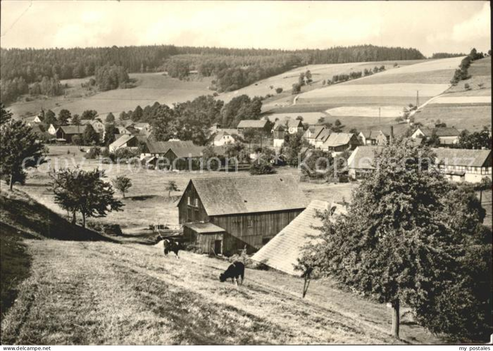 Markersbach Bad Gottleuba