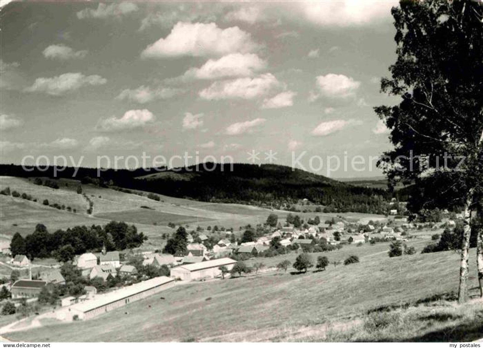 Markersbach Raschau-Markersbach Panorama