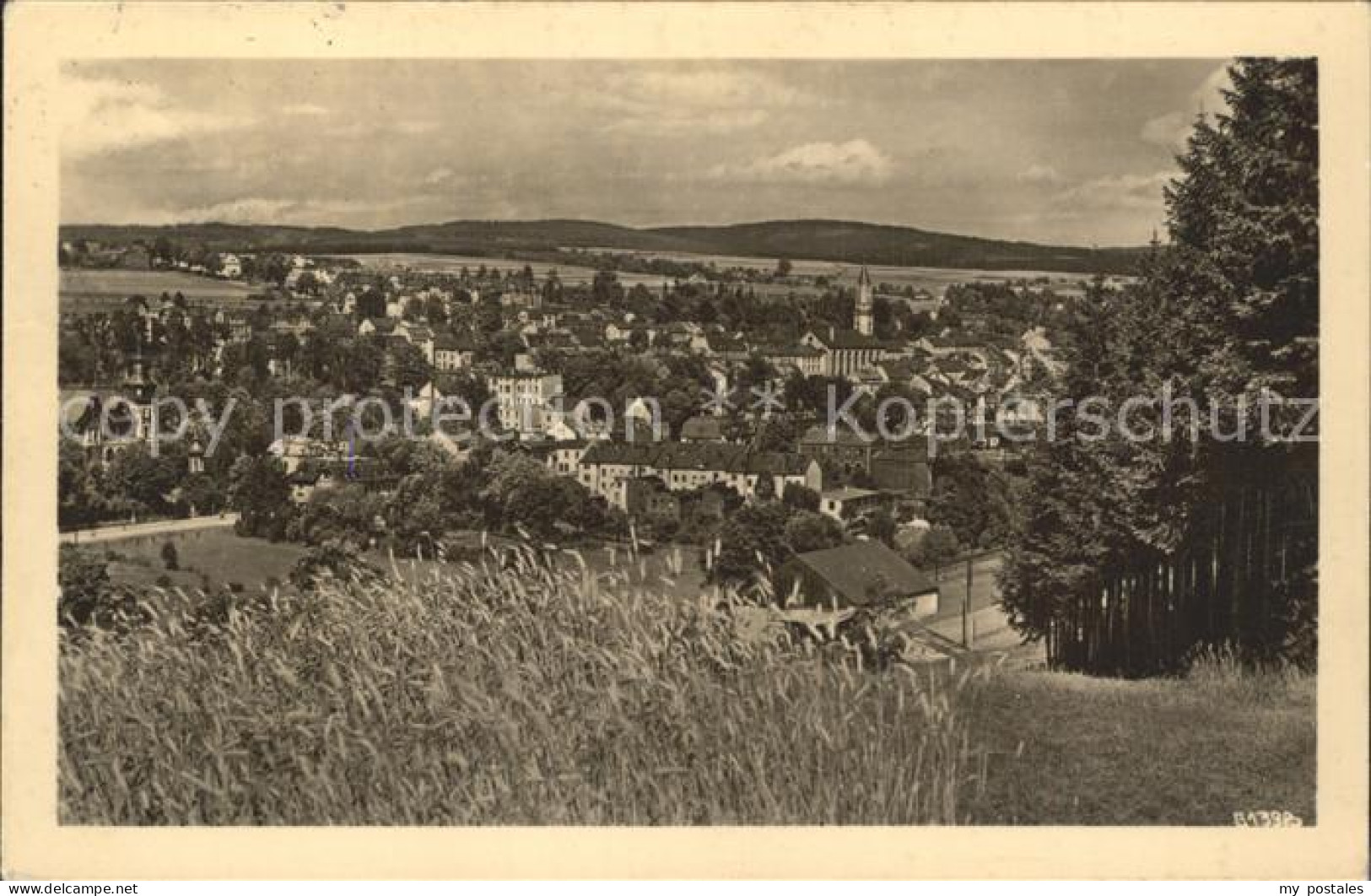 Markneukirchen Gesamtansicht