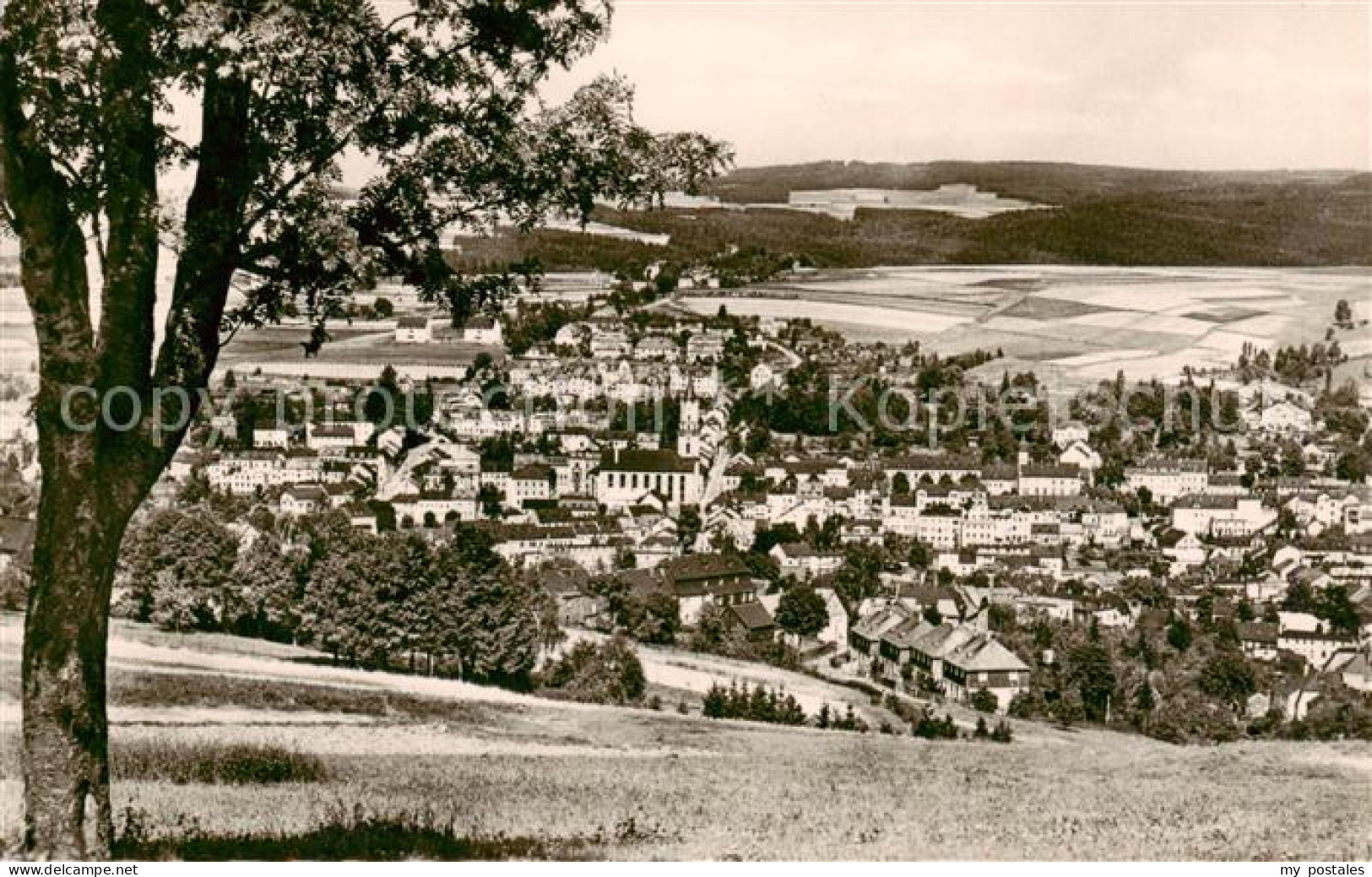 Markneukirchen Panorama