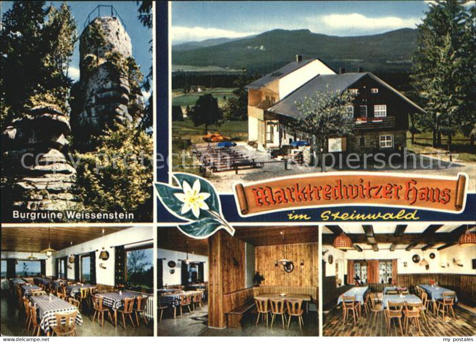 Marktredwitz Burgruine Weissenstein