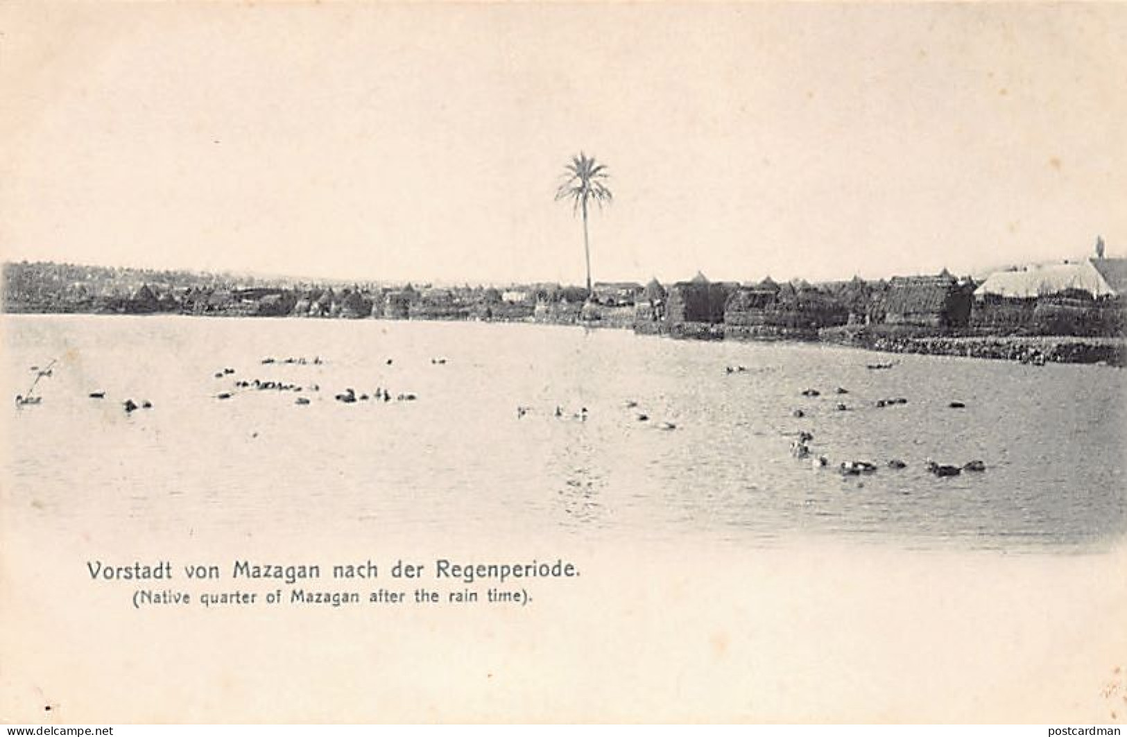 Maroc - EL JADIDA Mazagan - Le quartier indigène après les fortes pluies - Édition allemande - Ed. R. Hedrich à Mazagan