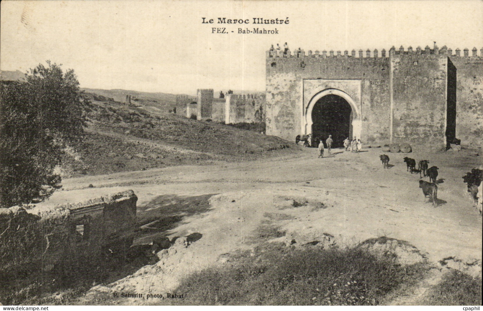 Maroc Fez CPA Bab Mahrok