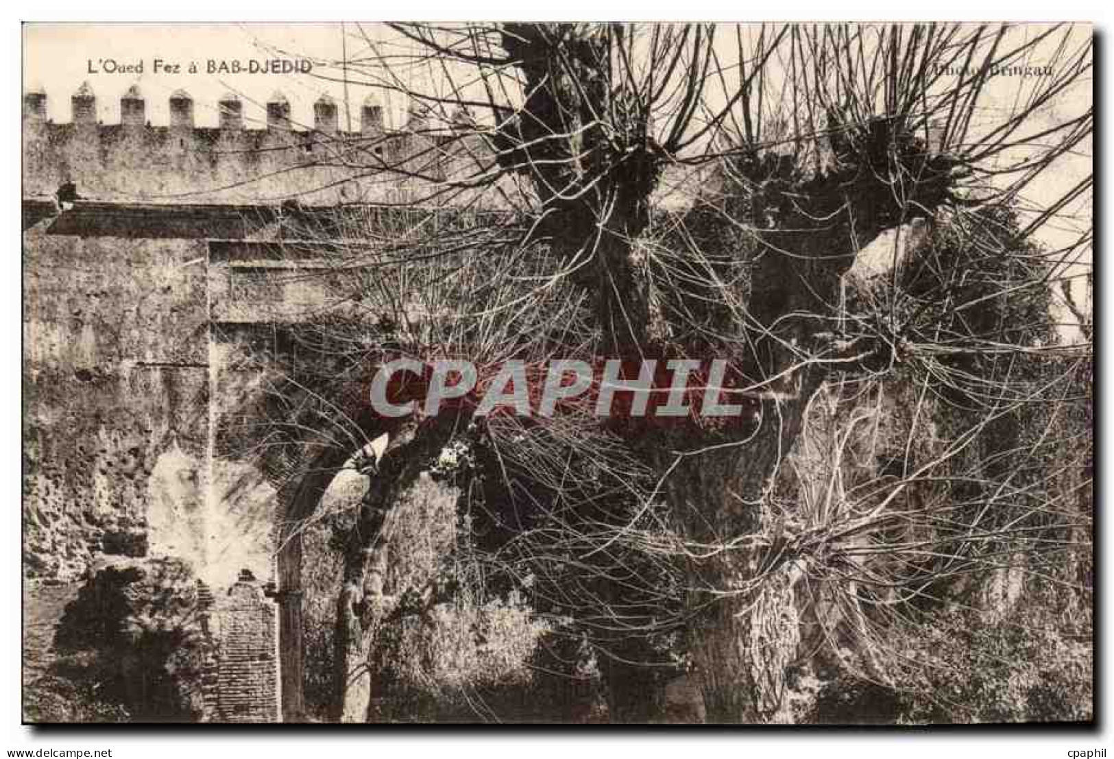 Maroc Fez CPA L'oued Fez a Bab Djedid