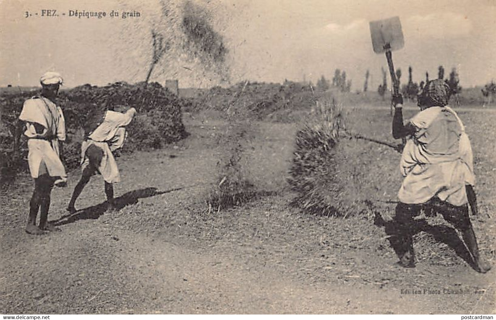 Maroc - FEZ Fès - Dépiquage du grain - Ed. Chambon