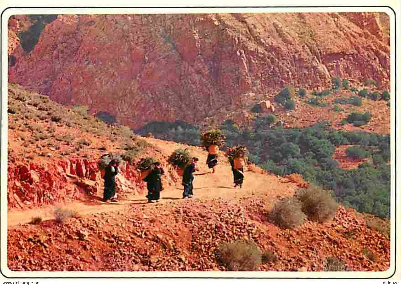 Maroc - Maroc Typique - Carte Neuve - CPM - Voir Scans Recto-Verso
