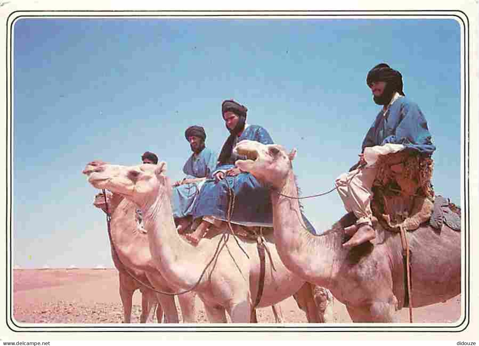 Maroc - Maroc typique - CPM - Voir Scans Recto-Verso