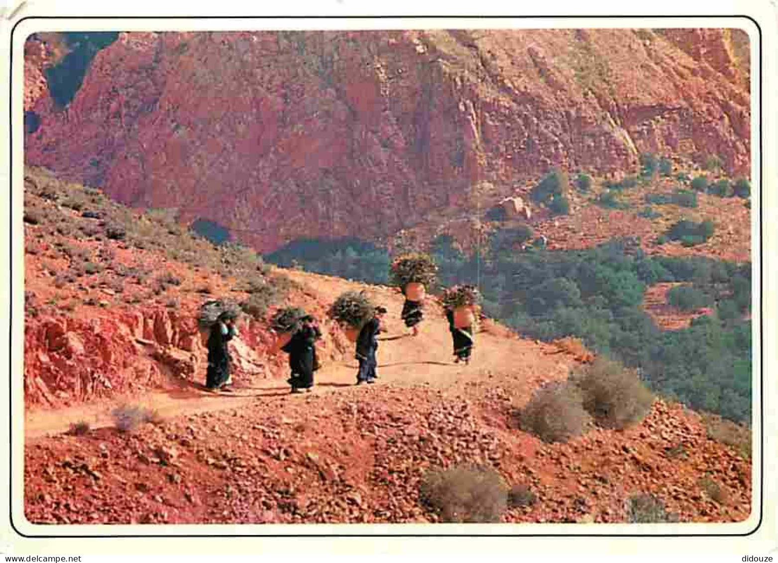 Maroc - Maroc typique - CPM - Voir Scans Recto-Verso