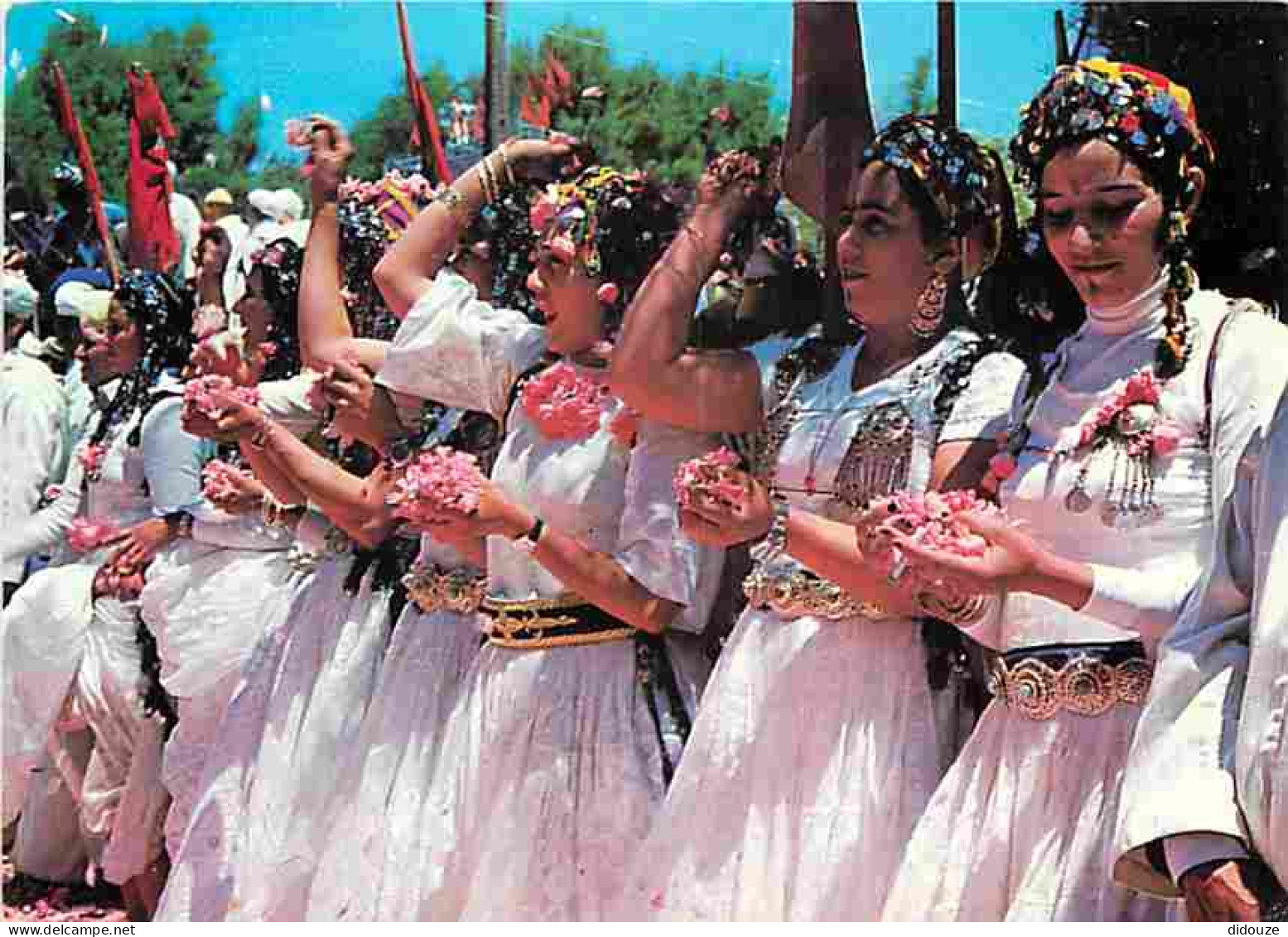 Maroc - Maroc Typique - Groupe Folklorique - CPM - Voir Scans Recto-Verso
