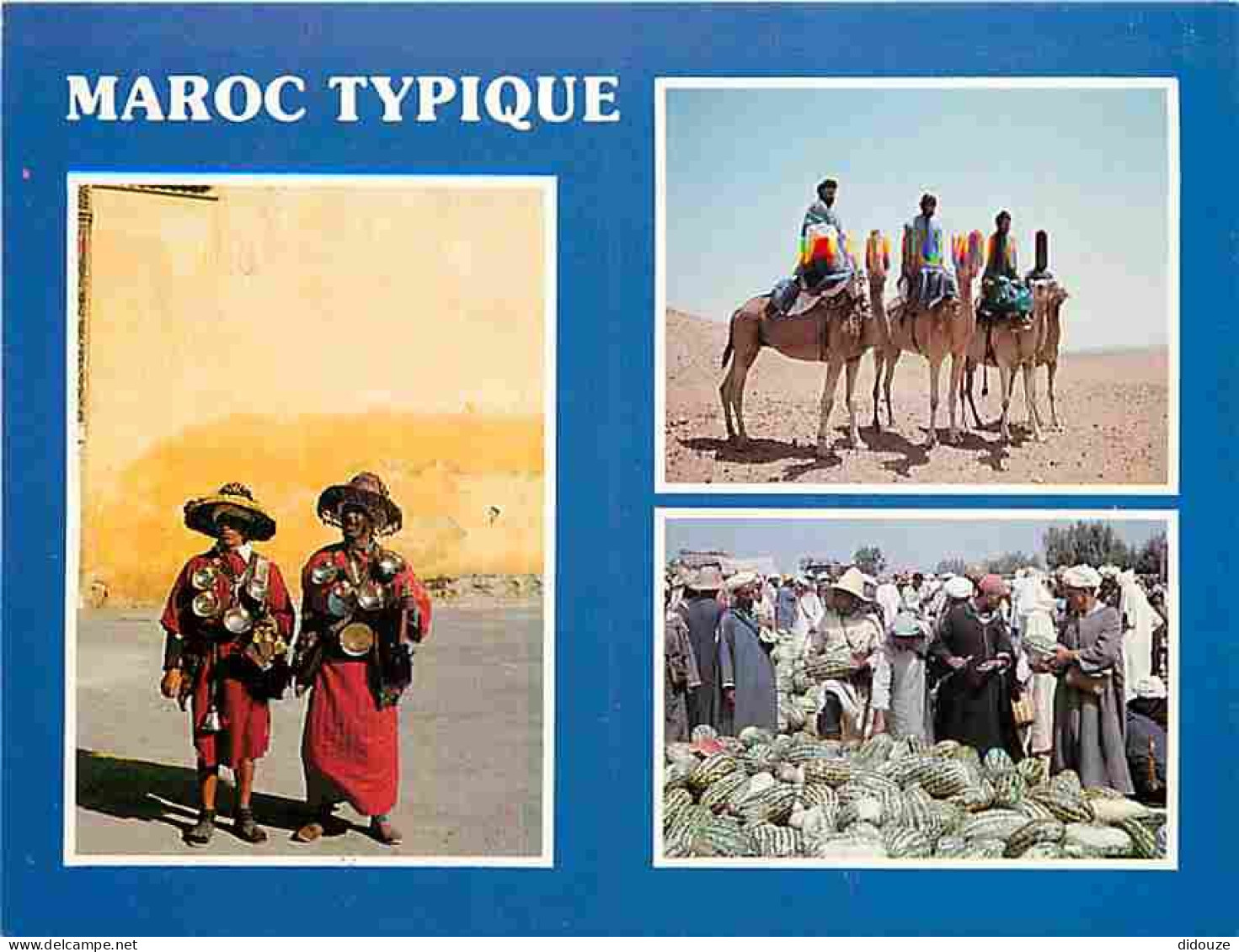 Maroc - Maroc Typique - Multivues - CPM - Voir Scans Recto-Verso