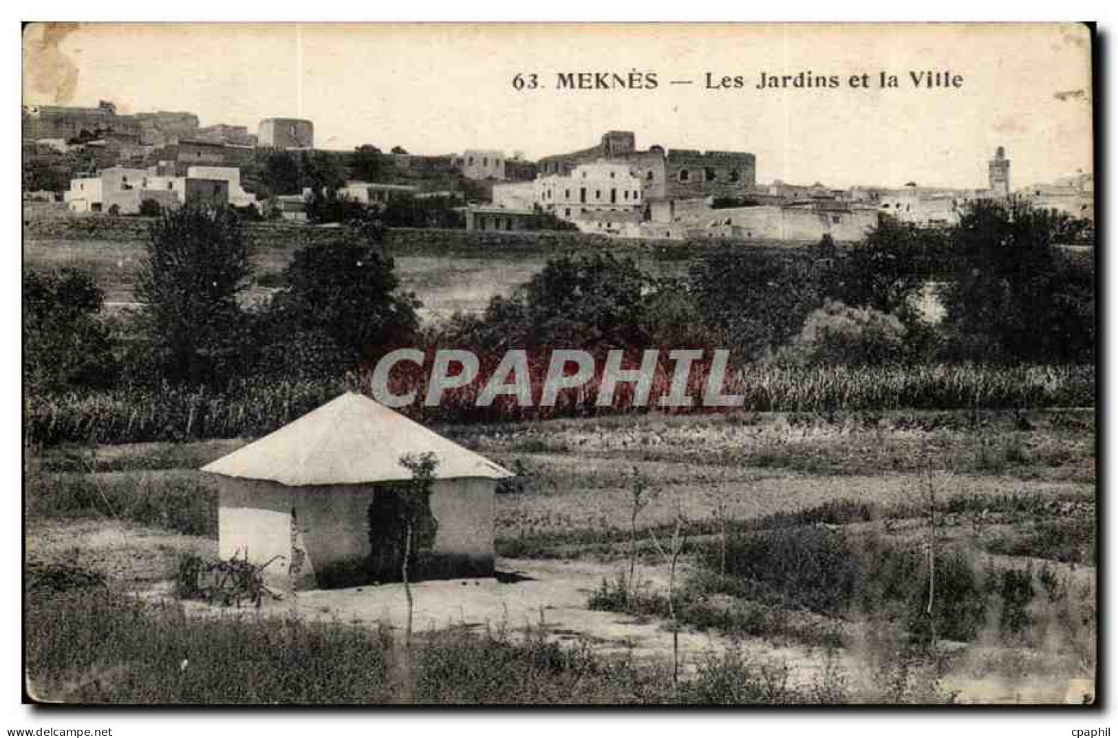 Maroc Meknes CPA Les jardins de la ville