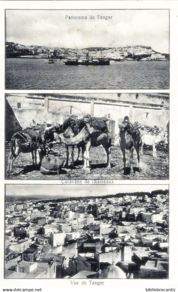 MAROC - PANORAMA DE TANGER + CARAVANE DE CHAMEAUX et VUE DE TANGER