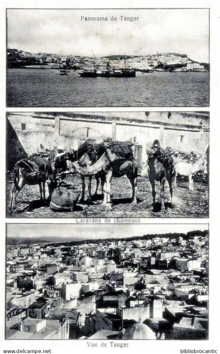 MAROC - PANORAMA DE TANGER + CARAVANE DE CHAMEAUX et VUE DE TANGER