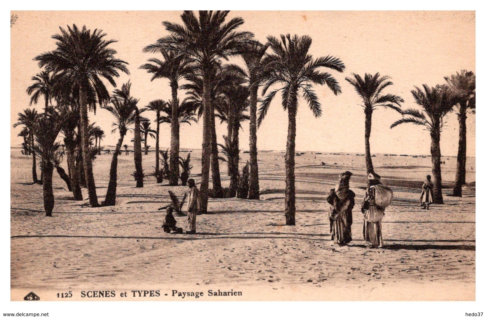 Maroc - Paysage Saharien