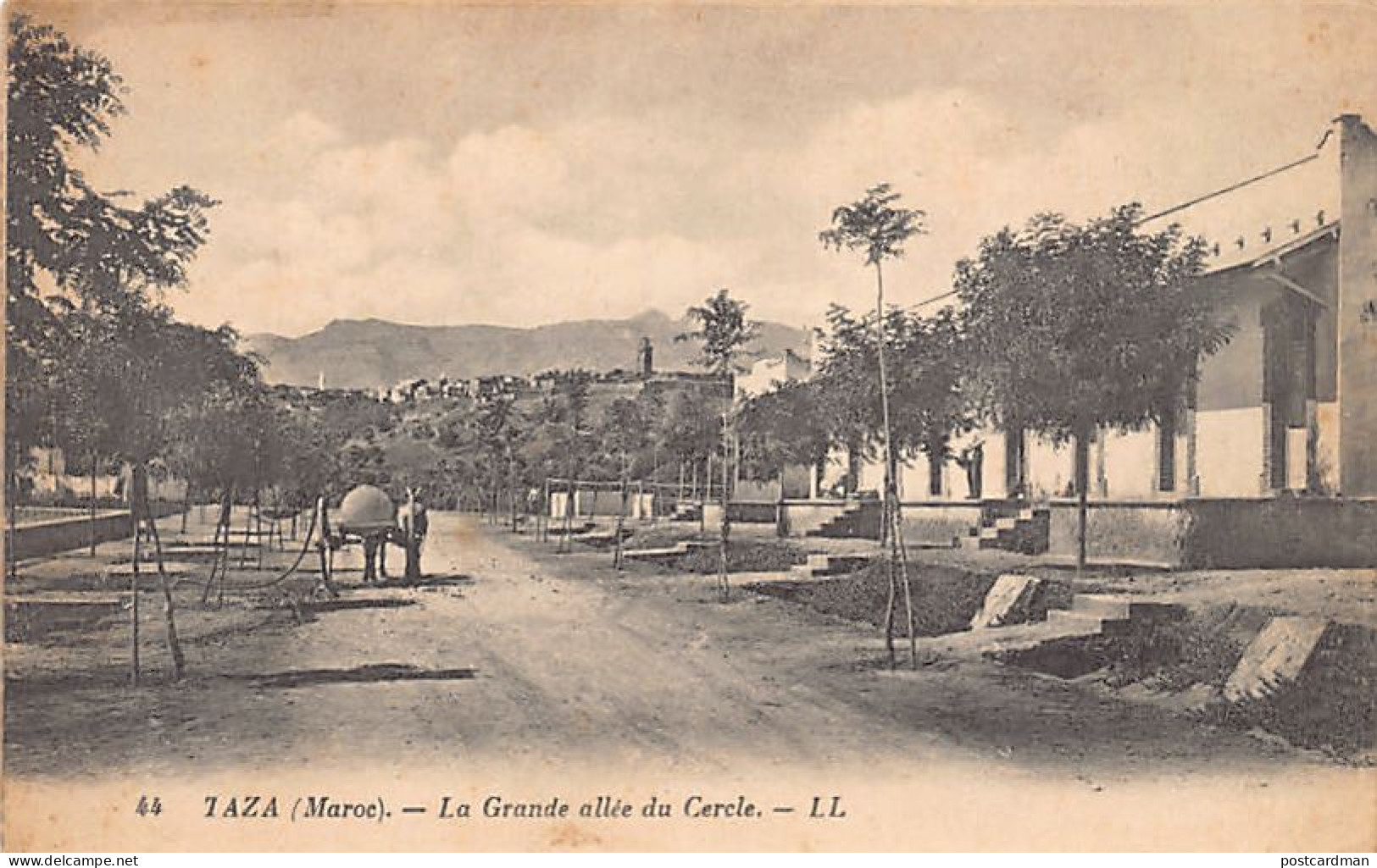 Maroc - TAZA - La grande allée du Cercle