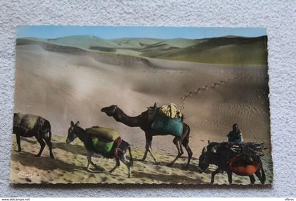E875, scènes et types du Maroc, dans les dunes, Maroc