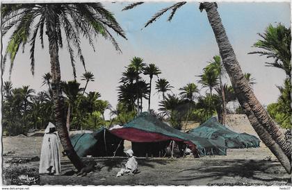 Maroc - Campement