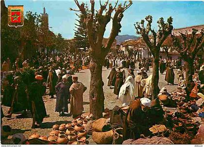 Maroc - Maroc Typique - CPM - Voir Scans Recto-Verso