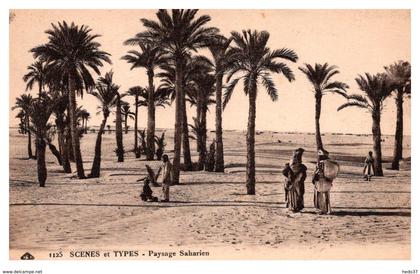 Maroc - Paysage Saharien