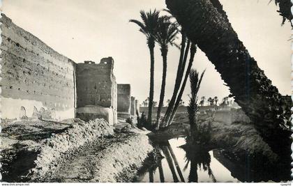 CPM Marrakech remparts palmeraie
