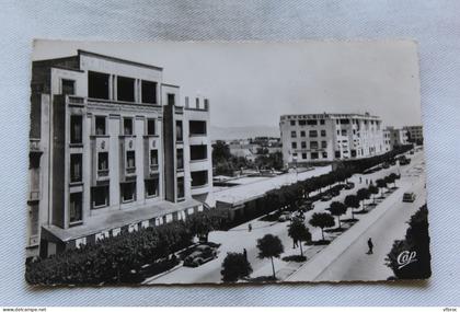 Cpsm 1952, Meknes, le cours Lyautey, Maroc