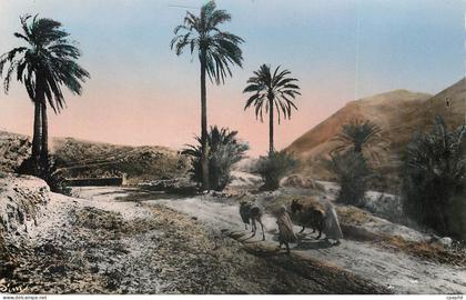 CPM Scenes et types du Maroc Types du Sud Sur la Piste