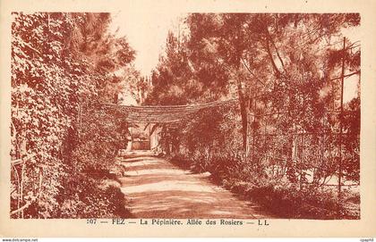 CPA Fez La Pepiniere Allee des Rosiers