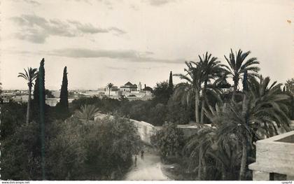 CPM Marrakech vue artistique