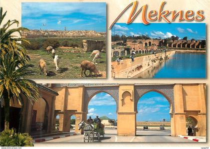 CPM Meknes
