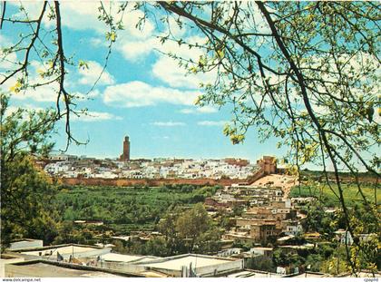 CPM Meknes Vue generale