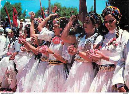 Maroc - Maroc Typique - Groupe Folklorique - CPM - Voir Scans Recto-Verso