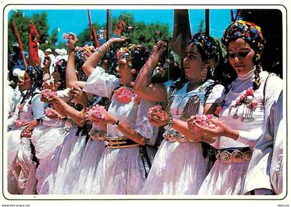 Maroc - Maroc typique - Groupe Folklorique - CPM - Voir Scans Recto-Verso