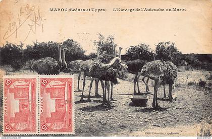 Maroc - L'élevage de l'autruche au Maroc - Ed. Kricorian