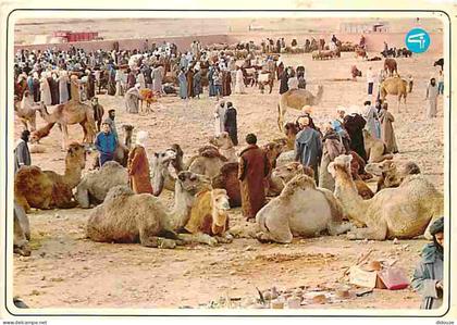 Maroc - Maroc typique - Souk des Chameaux - CPM - Voir Scans Recto-Verso