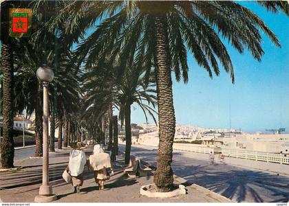 CPM Tanger