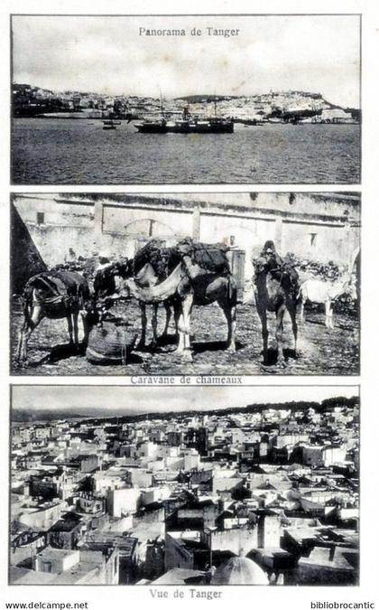 MAROC - PANORAMA DE TANGER + CARAVANE DE CHAMEAUX et VUE DE TANGER
