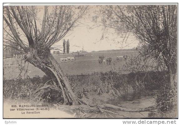 MAROLLES EN BRIE - Le Réveillon