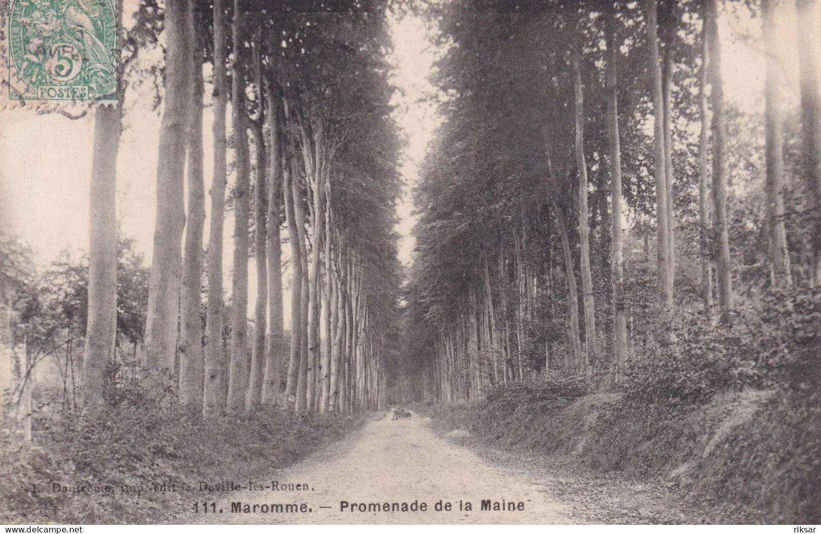 MAROMME(ARBRE)