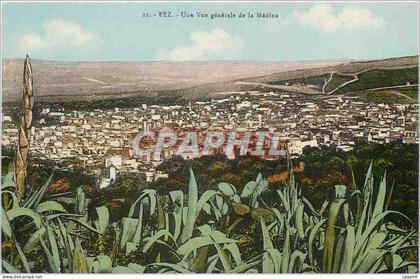 CPA Fez une vue generale de la Medina