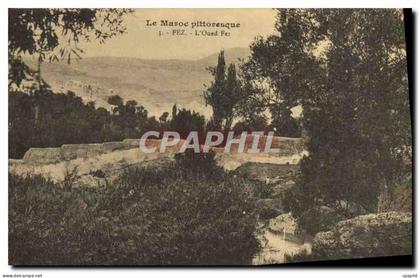 CPA Le Maroc Pittoresque Fez L'Oued Fez