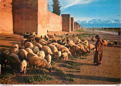 CPM Marrakech Les Remparts