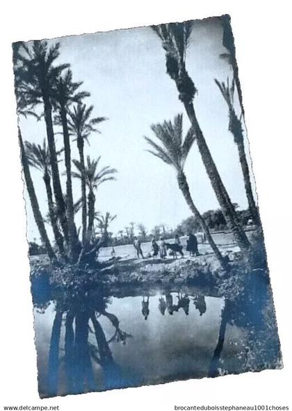 Marrakech  Dans la Palmeraie
