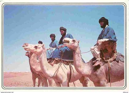 Maroc - Maroc typique - CPM - Voir Scans Recto-Verso