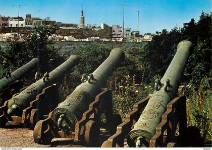 CPM Tanger Jardin de la Mendoubia