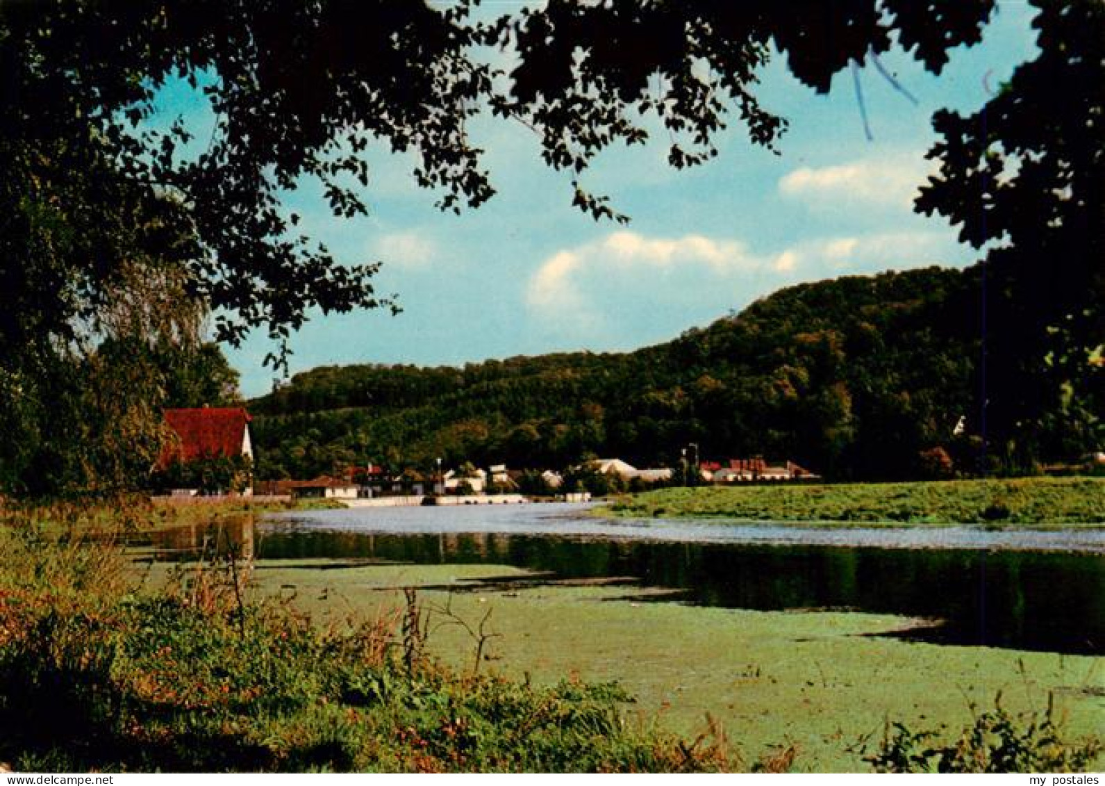 Marsberg Sauerland Niedermarsberg im Eichenwaeldchen