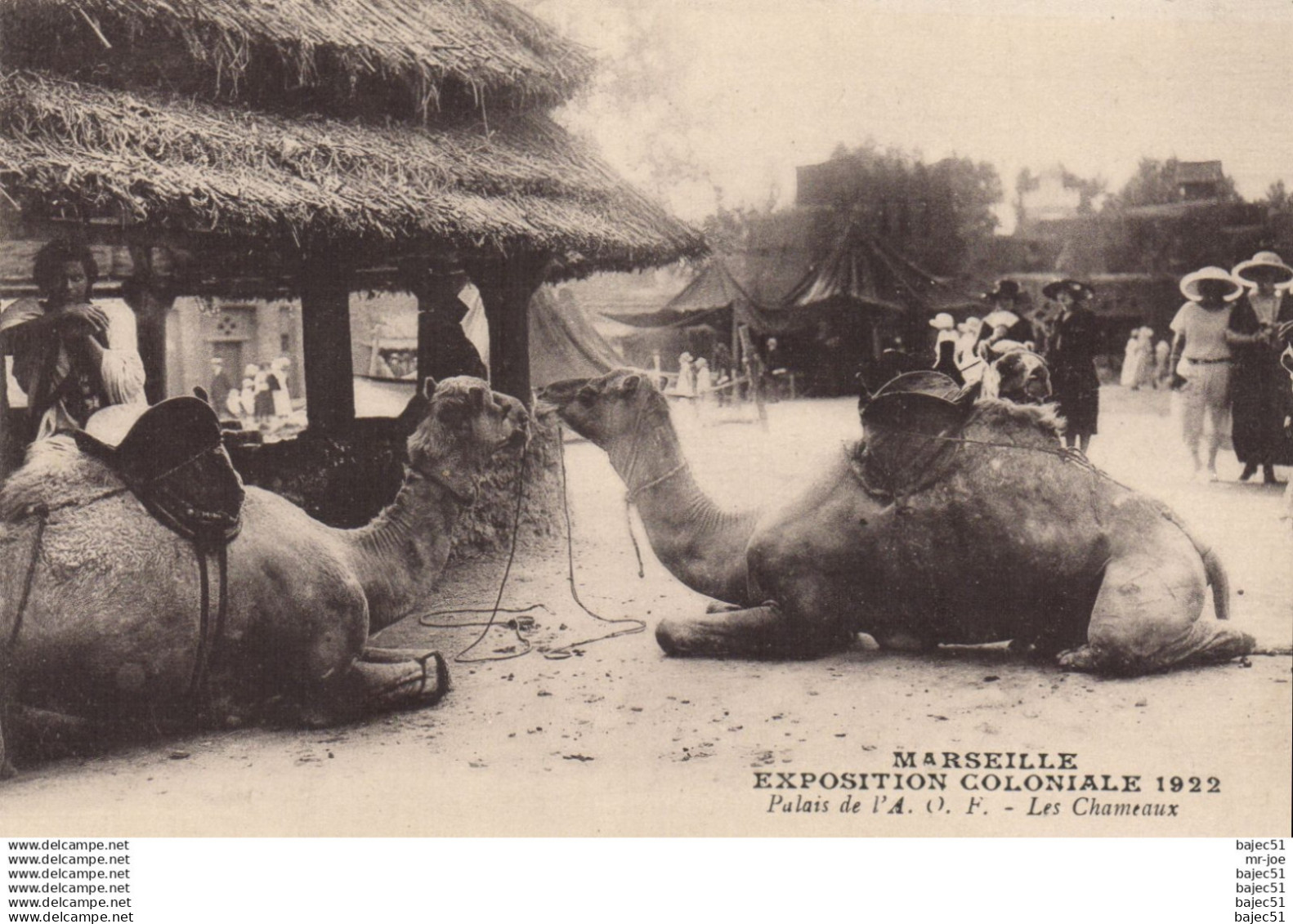 Marseille - Expositions Coloniales 1922 - Palais de l' A.O.F - les chameaux