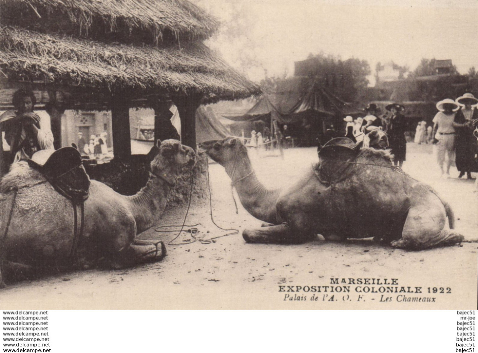 Marseille - Expositions Coloniales 1922 - Palais de l' A.O.F - les chameaux