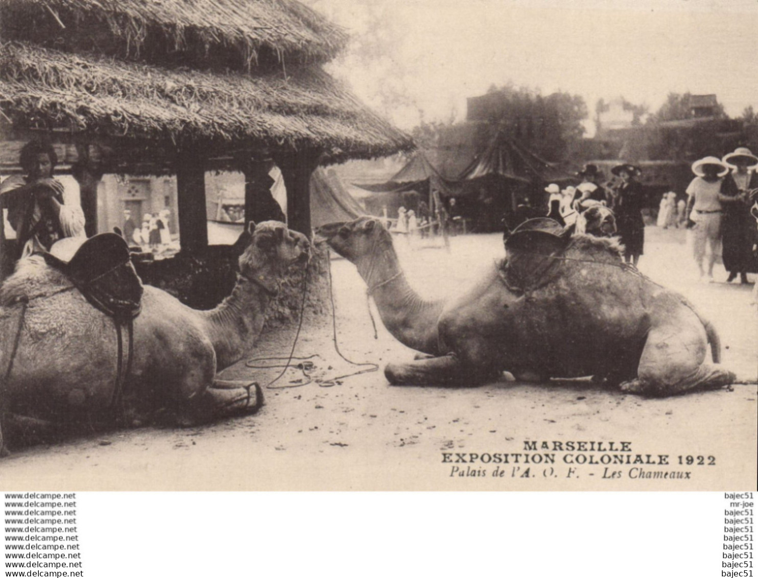 Marseille - Expositions Coloniales 1922 - Palais de l' A.O.F - les chameaux