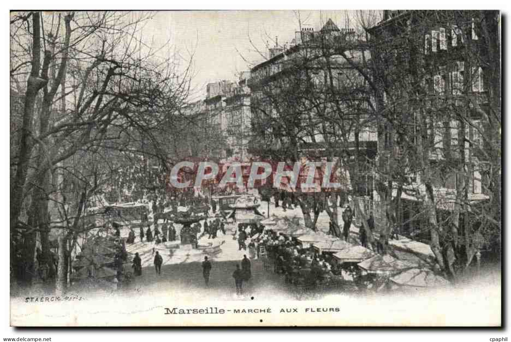 Marseille - Marche aux Fleurs - CPA