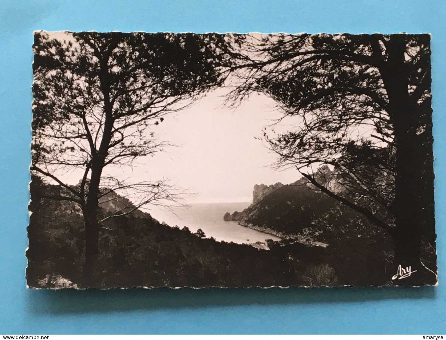 Marseille Mazargues, Quartiers Sud,  Bonneveine, Pointe Rouge, Calanques[13] Bouches-du-Rhône Carte Postale-CPSM-coll.Gi